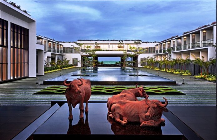 Sheraton Grand Chennai Water Buffalo