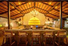 Agave Alchemy at Barfly: A Journey of Flavors and Culture
