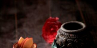 ‘Koshur Saal’ an exquisite food festival from Kashmir Ki Vaadiyan to the shores of Chennai at the Grand Chennai by GRT Hotels