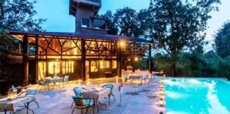 Pench Tree Lodge and Waghoba Eco Lodge by Pugdundee Safaris Shine Bright at ICRT India Awards 2023