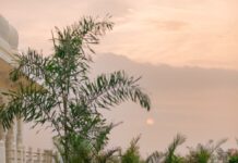 UNWIND AT HYATT REGENCY JAIPUR MANSAROVAR’S NEWLY LAUNCHED ‘THE PINK BAR’