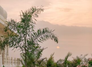 UNWIND AT HYATT REGENCY JAIPUR MANSAROVAR’S NEWLY LAUNCHED ‘THE PINK BAR’