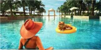 Ras Al Khaimah Introduces A New Destination Promotion Campaign Featuring A Lovable Feline Character