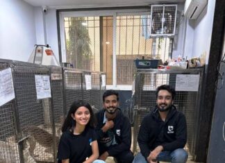 BrewDog spreads Christmas cheer to Mumbai’s rescue dogs