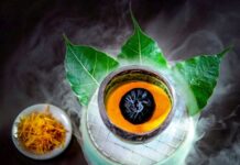 PARK HYATT CHENNAI X GALLERY VEDA The Art of Food & Wine – A unique and stimulating culinary exploration where every bite and brushstroke is a work of art at Park Hyatt Chennai