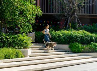 Centara Hotels Embrace Pet-Friendly Stays with No Weight Restrictions in Korat, Ubon, Udon, and Ayutthaya