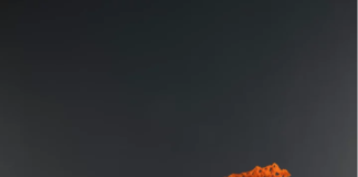 Sip, Savor, and Celebrate the festive season with Signature Cocktails at Aloft Bengaluru Outer Ring Road ~ Christmas Infused with Magic ~