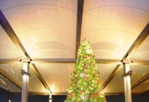 Hilton Bengaluru Embassy Manyata Business Park Lights Up the Festive Season with Tree Lighting Ceremony