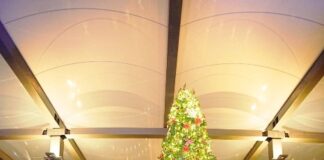 Hilton Bengaluru Embassy Manyata Business Park Lights Up the Festive Season with Tree Lighting Ceremony