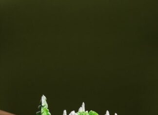 BLVD Club by Embassy Welcomes the Festive Season with Decadent Plum Cakes