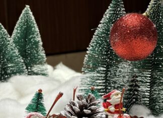 Unwrap the Joy of Christmas with Taj West End Bengaluru’s Magical Festive Hampers