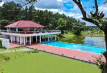 Celebrate Christmas with Rosetta Hospitality