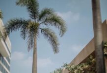 Courtyard by Marriott Pune Chakan curates Bespoke wedding experiences to celebrate your D-Day in style