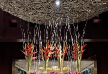 Hyatt Regency Pune Viman Nagar Promotes Fahim Sande to Director of Events