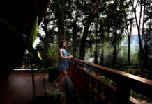 Indulge in a Luxurious Women’s Day Getaway at Timbertales