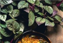 Fireback Goa brings its flavours to Sheraton Grand Chennai Resort & Spa, Mahabalipuram