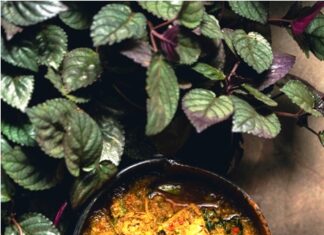 Fireback Goa brings its flavours to Sheraton Grand Chennai Resort & Spa, Mahabalipuram