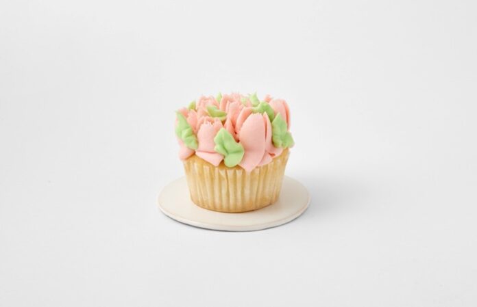 Magnolia Bakery - Spring Cupcakes