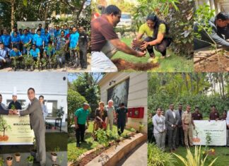 The Fern Hotels & Resorts Leads the Way in Environmental Stewardship with Tree Plantation Drive