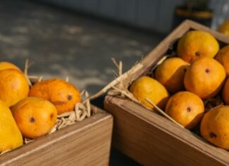 Radisson Blu Pune Hinjawadi Celebrates the Golden Season with ‘Mango Mélange’ – A Gourmet Tribute to the King of Fruits