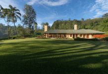 Resplendent Ceylon Celebrates 20 Years of Shaping Sri Lanka’s Luxury Travel Landscape Alongside the 40th Anniversary of Dilmah Tea