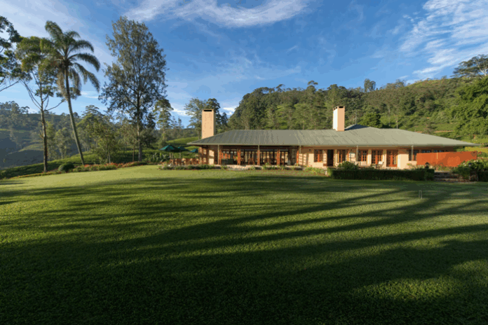 Ceylon-Tea-Trails-2934-x-1958-scaled