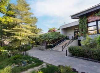 The Golden Tusk, Corbett expands culinary offering at “The Golden Forest” Restaurant