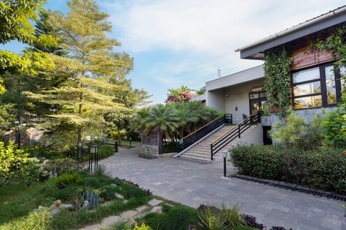 The Golden Forest (1)