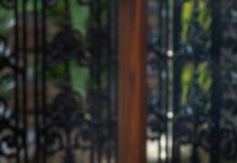 Celebrate the Return of Karavalli’s Iconic AquaFest