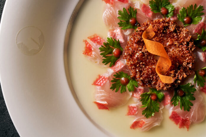 PHY.2025. NOBU OZ. KINMEDAI TIRADITO.1.HR