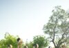 ITC Maurya Celebrates International Yoga Day 2026 with a Focus on Healthy Ageing