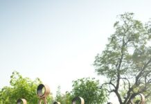 ITC Maurya Celebrates International Yoga Day 2026 with a Focus on Healthy Ageing