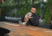 Rise in pet-inclusive travel prompts Summit Hotels & Resorts to introduce pet-friendly stays across key hill destinations